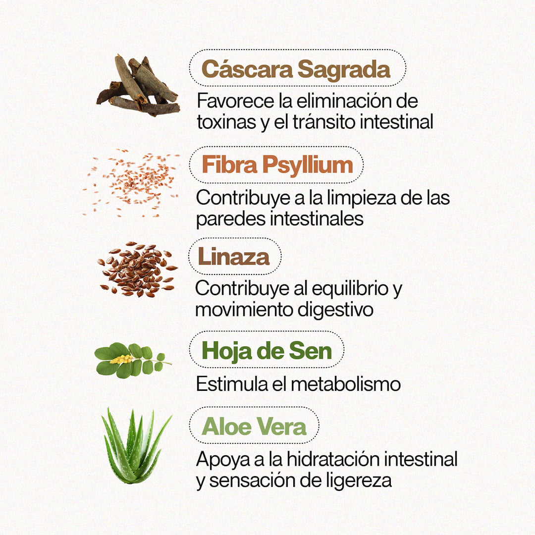 Detox - Imagen 5